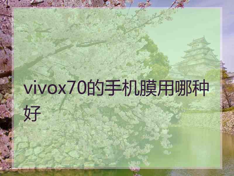 vivox70的手机膜用哪种好