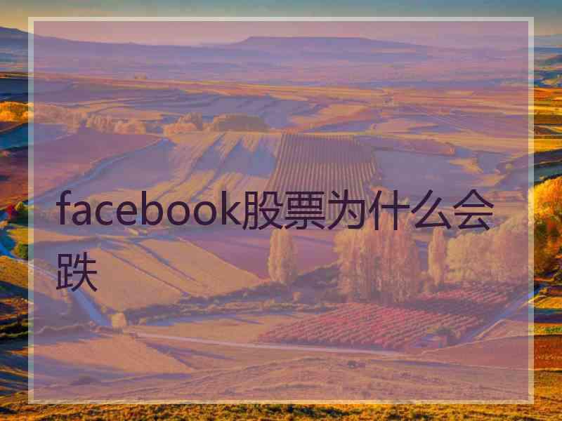 facebook股票为什么会跌