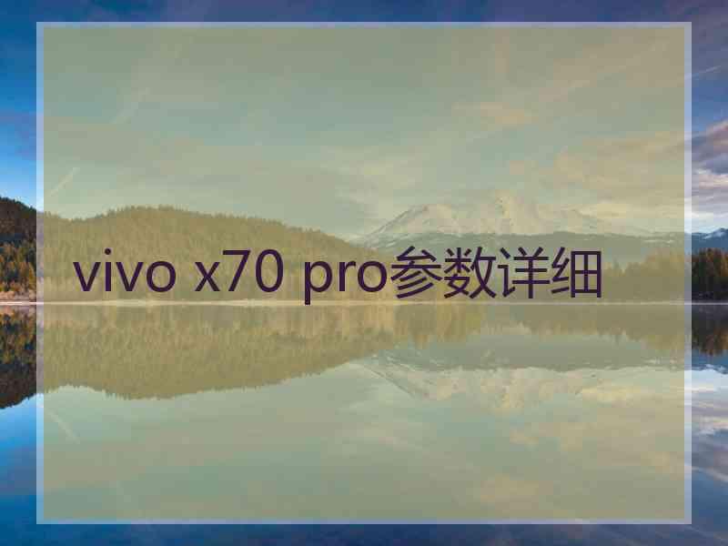 vivo x70 pro参数详细