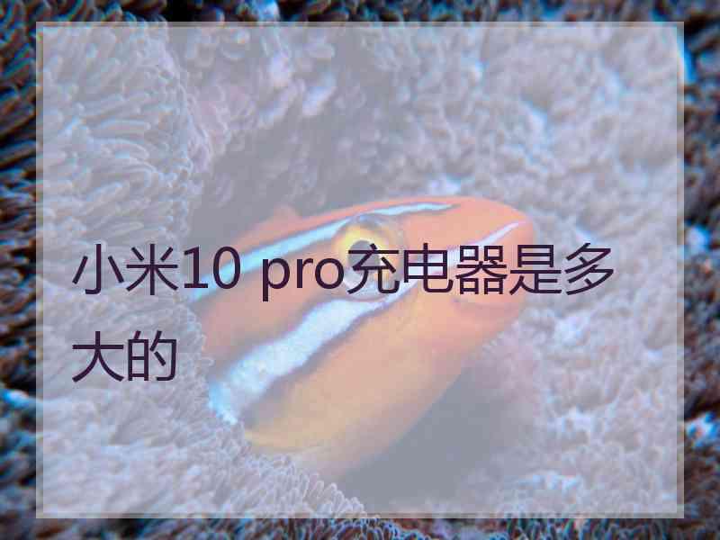 小米10 pro充电器是多大的