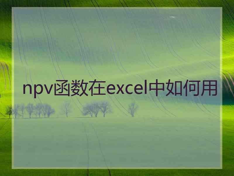 npv函数在excel中如何用