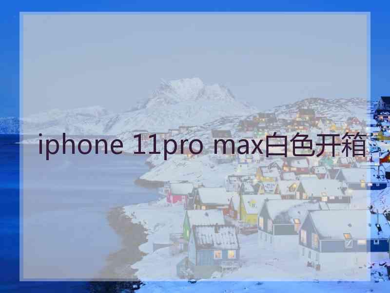 iphone 11pro max白色开箱