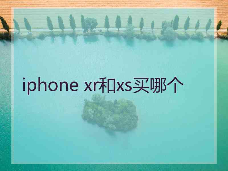 iphone xr和xs买哪个