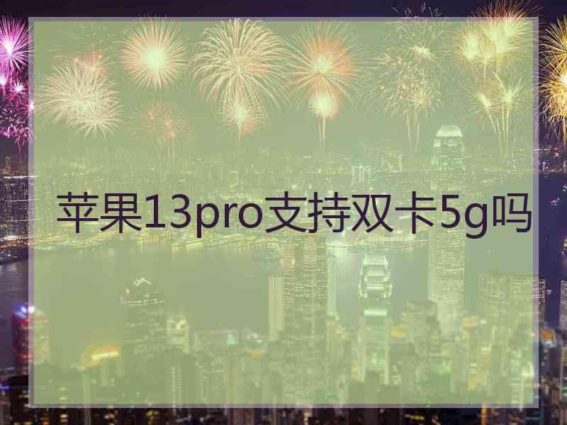 苹果13pro支持双卡5g吗