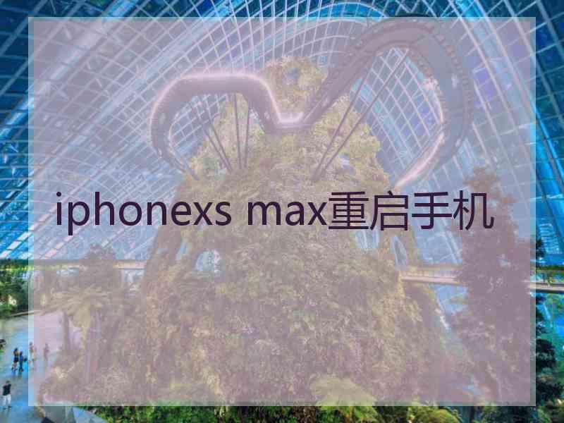 iphonexs max重启手机