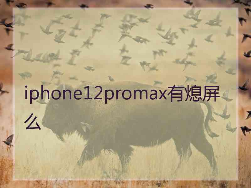 iphone12promax有熄屏么