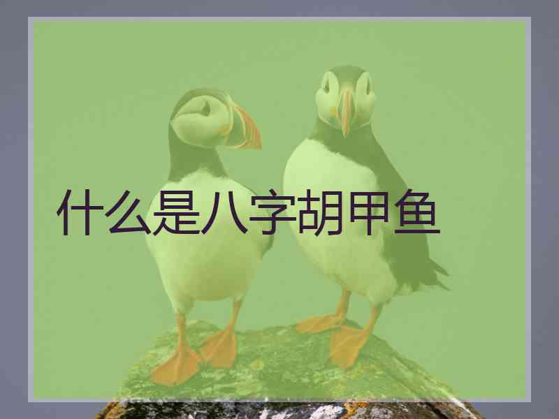 什么是八字胡甲鱼