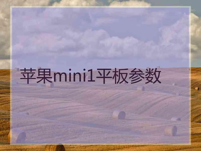 苹果mini1平板参数