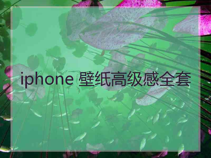 iphone 壁纸高级感全套