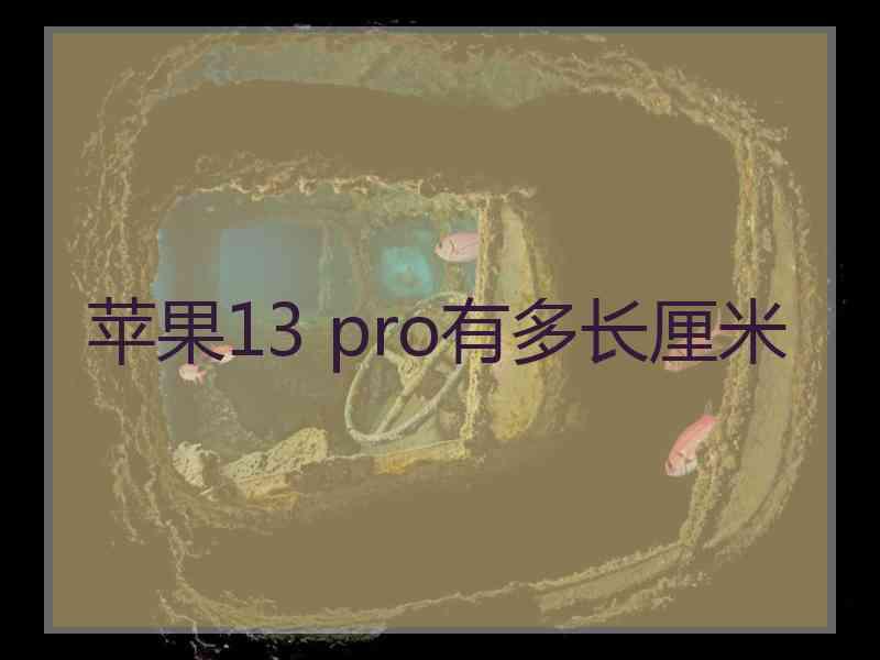 苹果13 pro有多长厘米