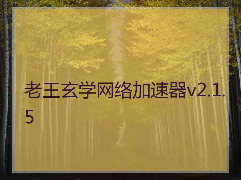 老王玄学网络加速器v2.1.5