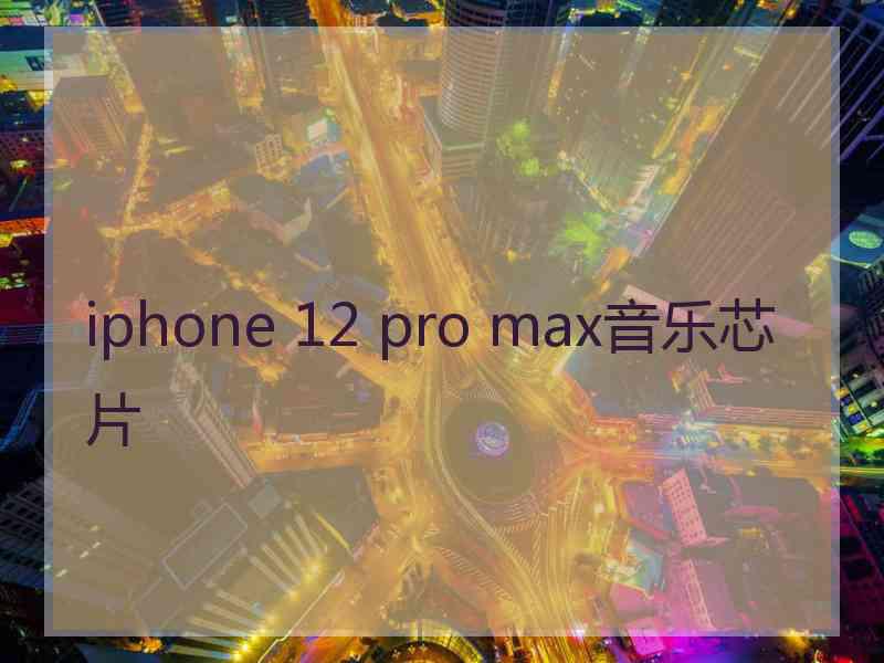 iphone 12 pro max音乐芯片