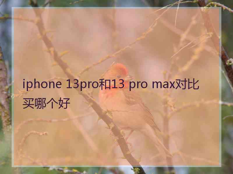 iphone 13pro和13 pro max对比买哪个好