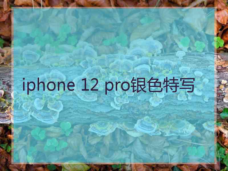 iphone 12 pro银色特写