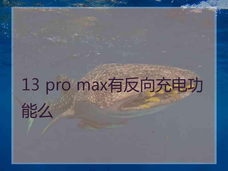 13 pro max有反向充电功能么