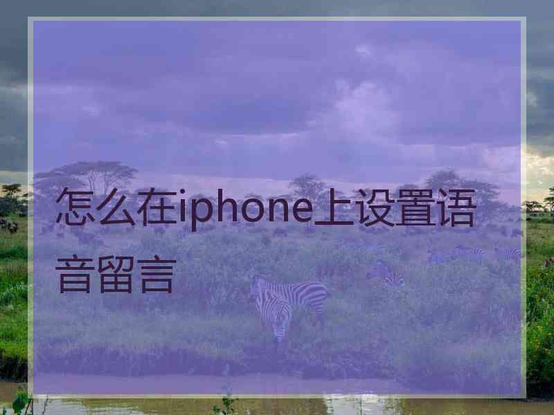 怎么在iphone上设置语音留言