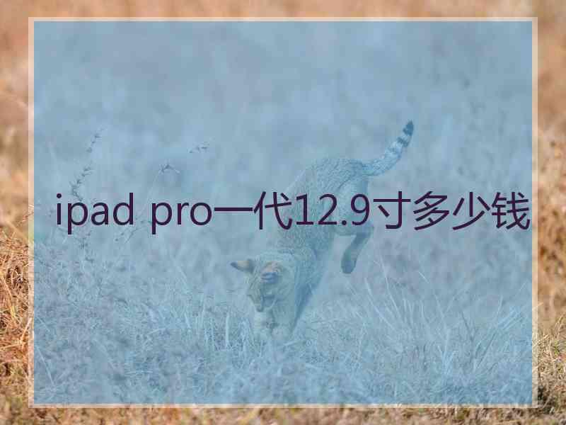 ipad pro一代12.9寸多少钱