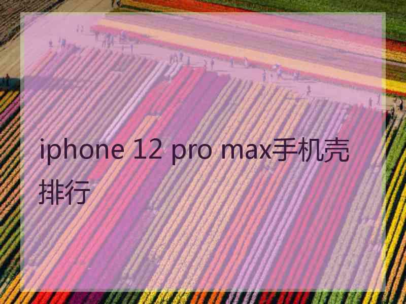 iphone 12 pro max手机壳排行