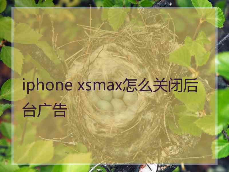 iphone xsmax怎么关闭后台广告