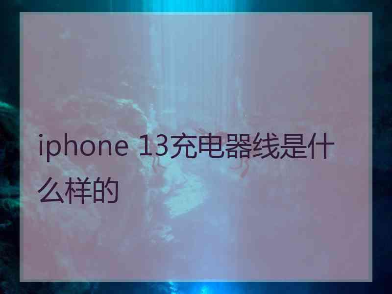 iphone 13充电器线是什么样的