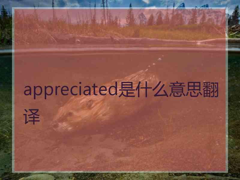 appreciated是什么意思翻译