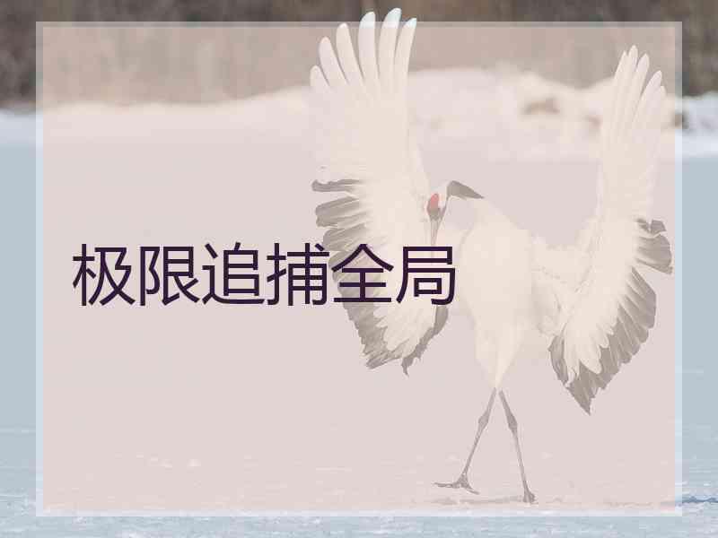 极限追捕全局