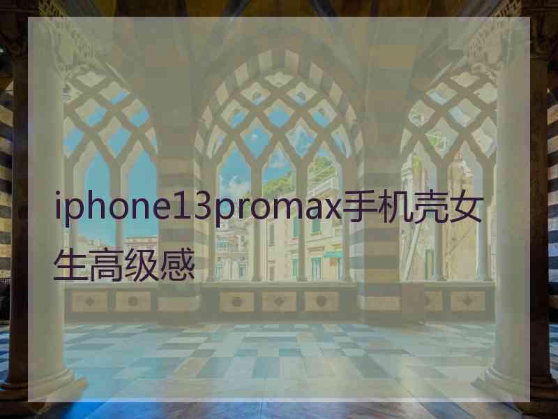 iphone13promax手机壳女生高级感