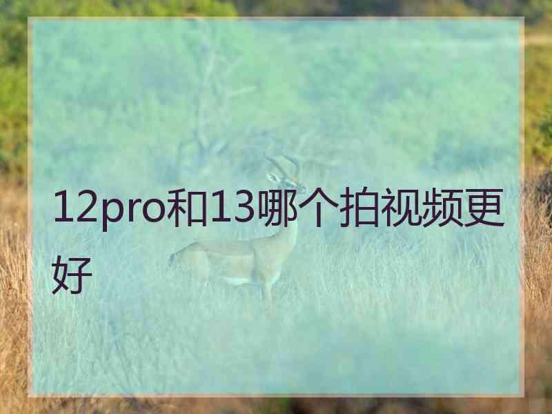 12pro和13哪个拍视频更好