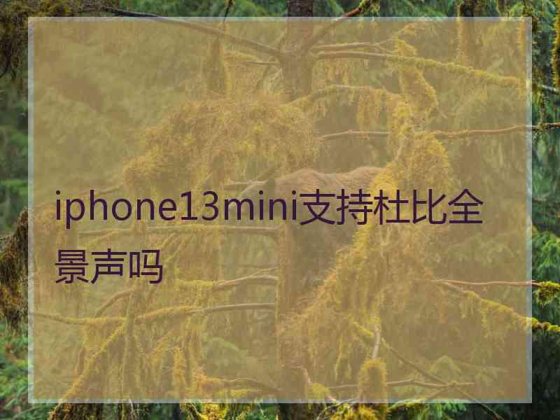 iphone13mini支持杜比全景声吗