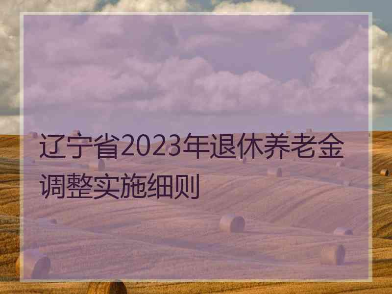 辽宁省2023年退休养老金调整实施细则