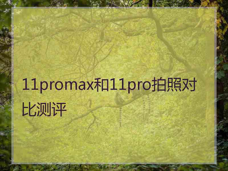 11promax和11pro拍照对比测评