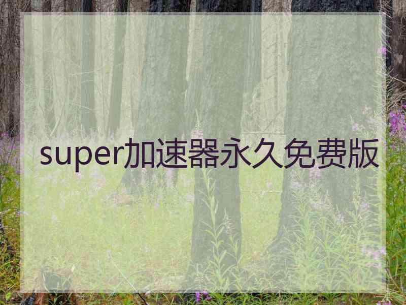 super加速器永久免费版