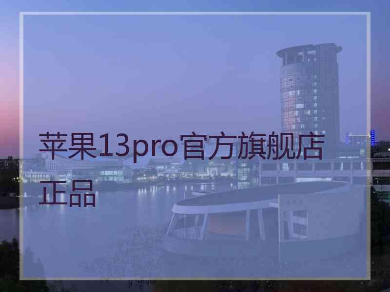 苹果13pro官方旗舰店 正品