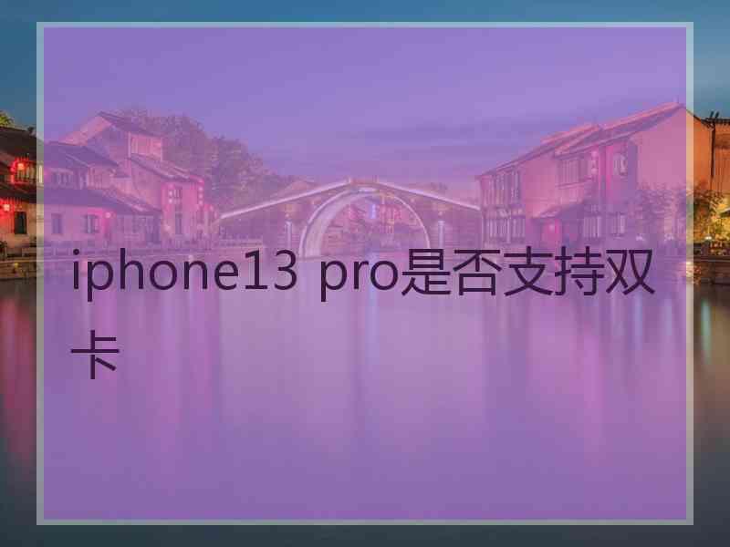 iphone13 pro是否支持双卡