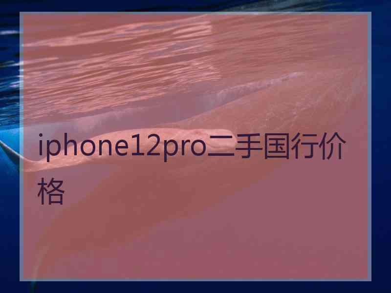 iphone12pro二手国行价格