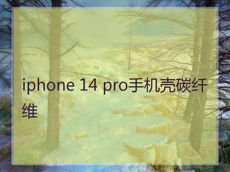 iphone 14 pro手机壳碳纤维