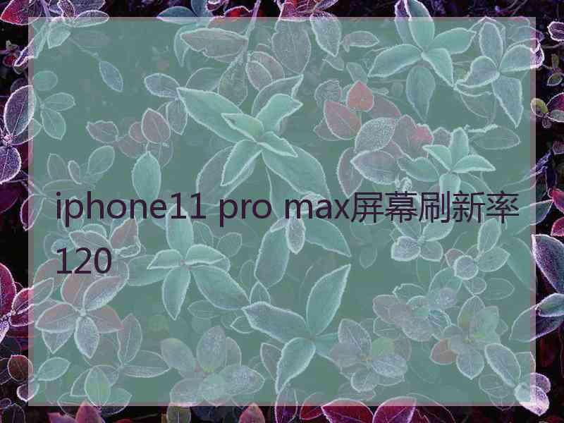 iphone11 pro max屏幕刷新率120