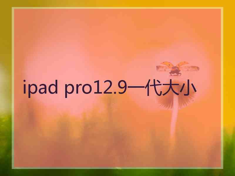 ipad pro12.9一代大小