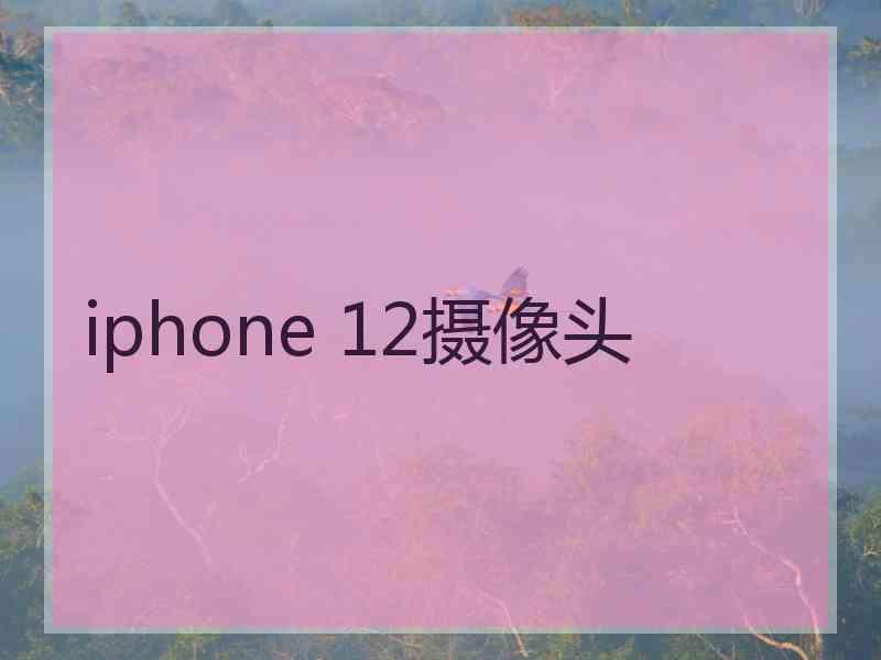 iphone 12摄像头