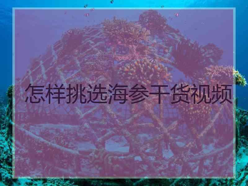 怎样挑选海参干货视频