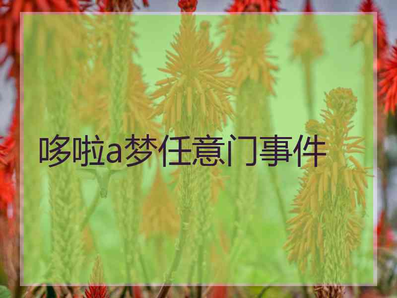 哆啦a梦任意门事件