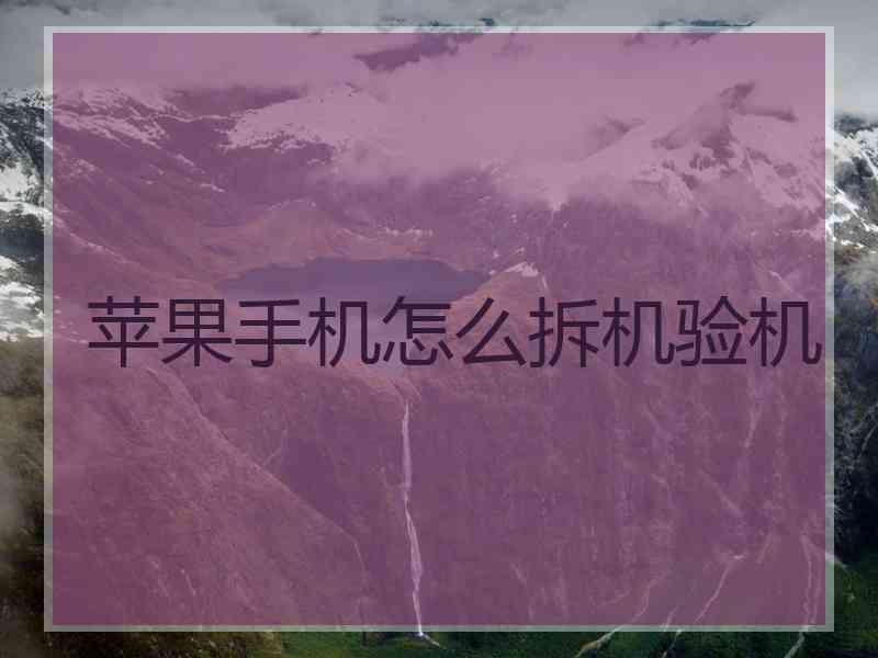 苹果手机怎么拆机验机