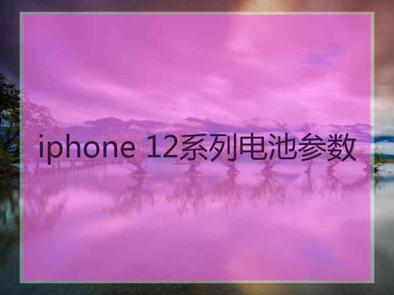 iphone 12系列电池参数