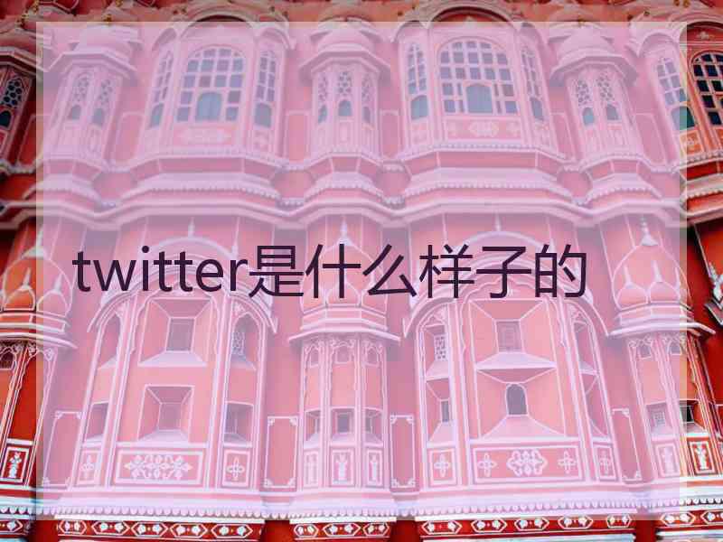 twitter是什么样子的