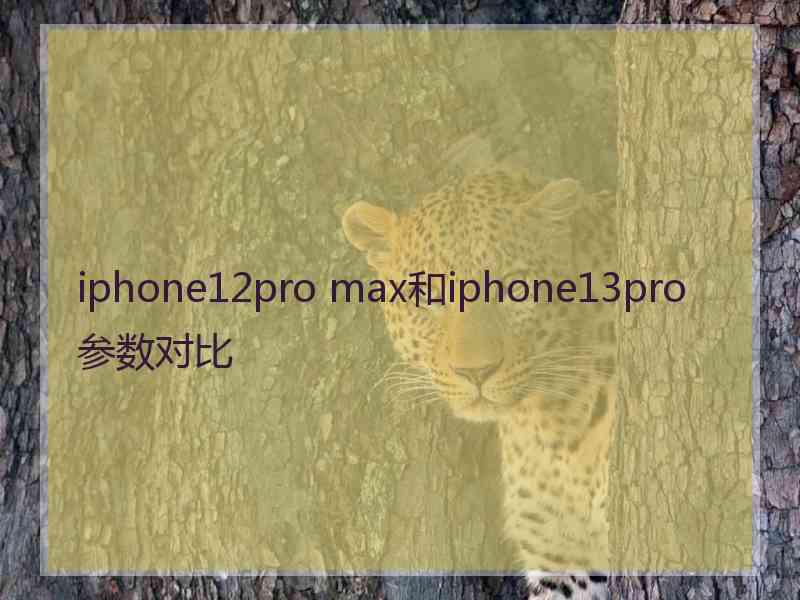 iphone12pro max和iphone13pro参数对比