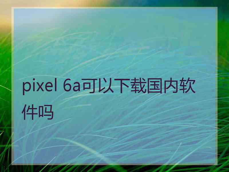 pixel 6a可以下载国内软件吗