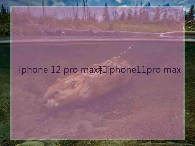 iphone 12 pro max和iphone11pro max