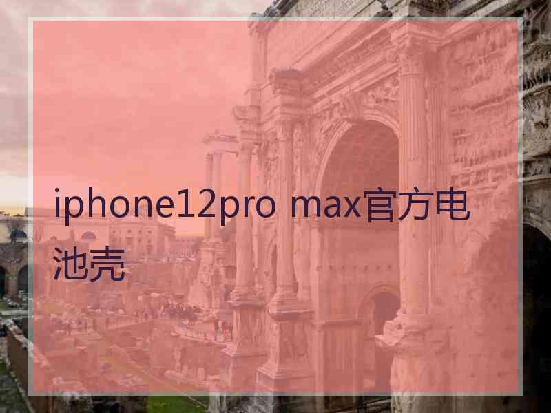 iphone12pro max官方电池壳