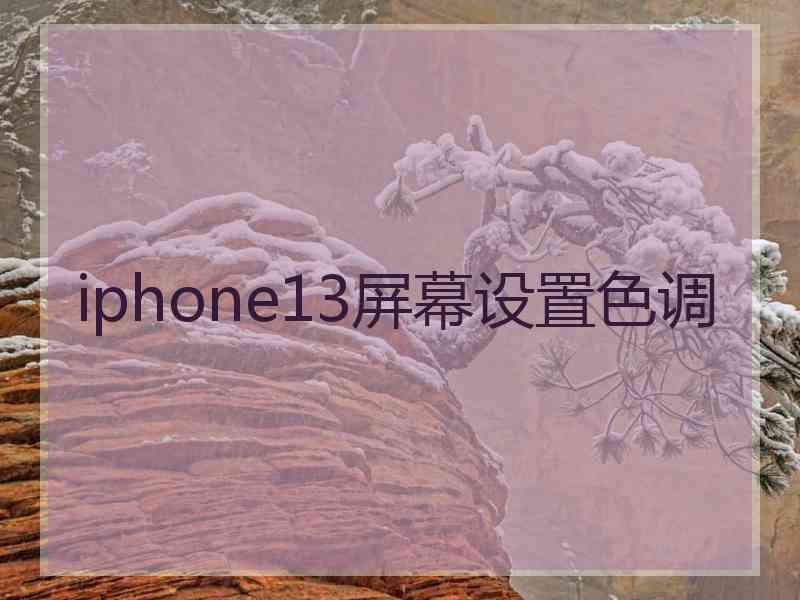 iphone13屏幕设置色调