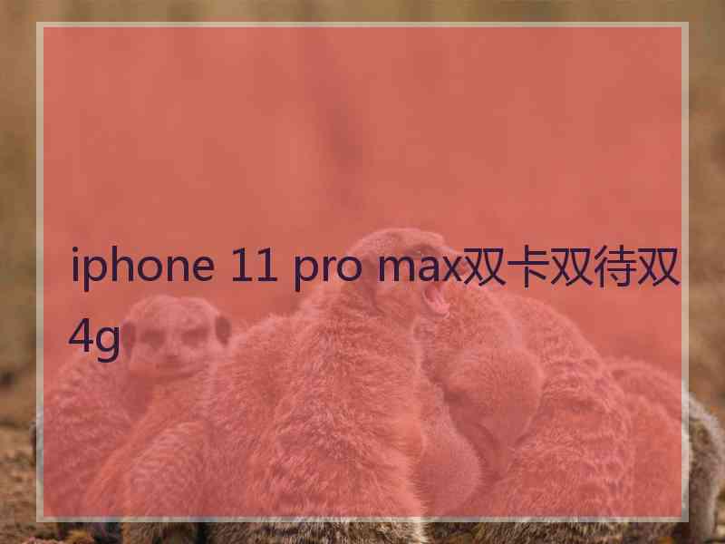 iphone 11 pro max双卡双待双4g